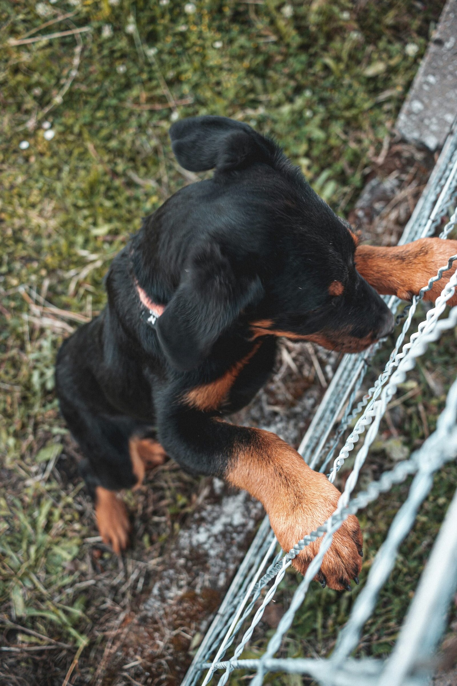 mathias-reding-RQlBVAPJo1Y-unsplash